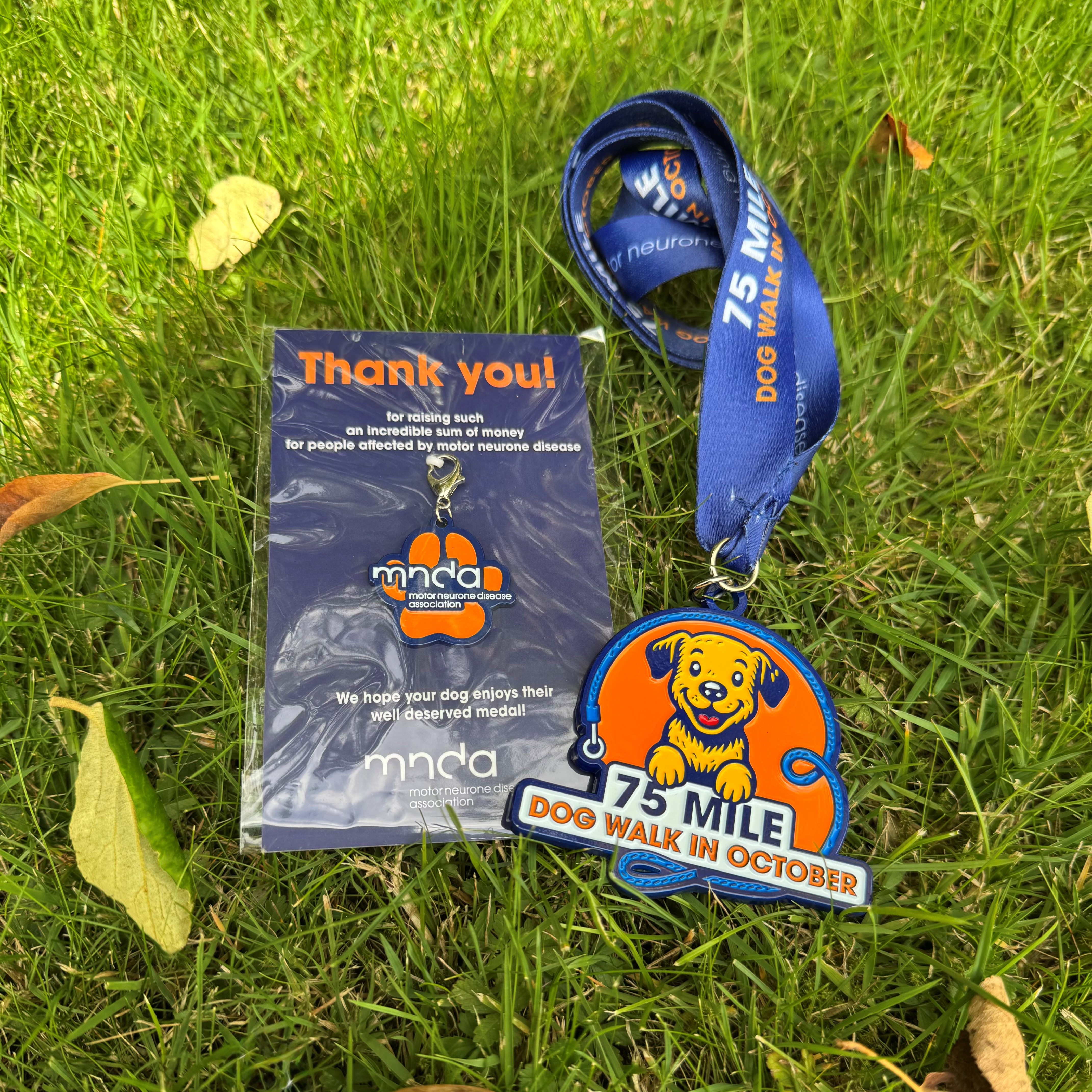 Dog Walk Challenge medals Dog Walk Challenge medals